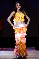 Bollywood Fashion & Music Awards 2007