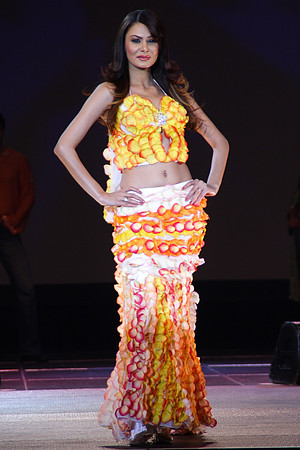 Bollywood Fashion & Music Awards 2007